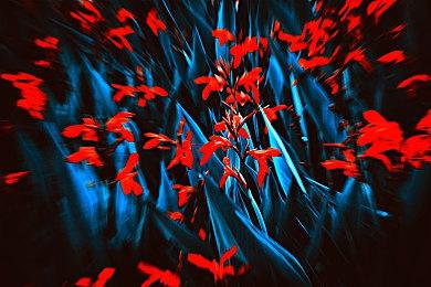 Steam特别好评《蛙之歌》明年1月11日登陆Switch