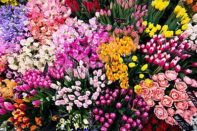 辻本良三惊喜亮相4月22日B站高能电玩节！